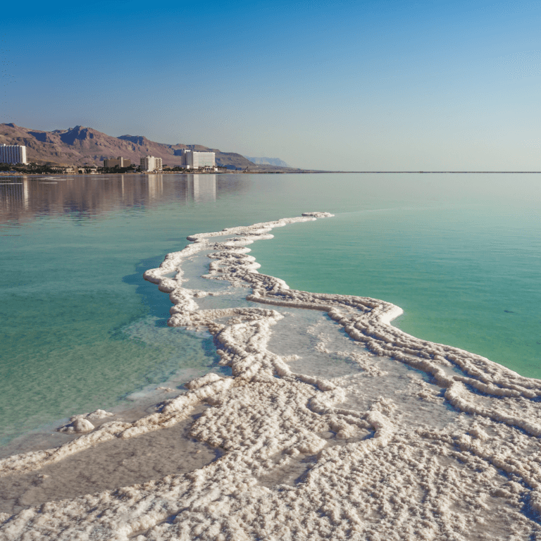 A breathtaking view of the Dead Sea with salt formations along the shore and the surrounding desert landscape under a clear blue sky.