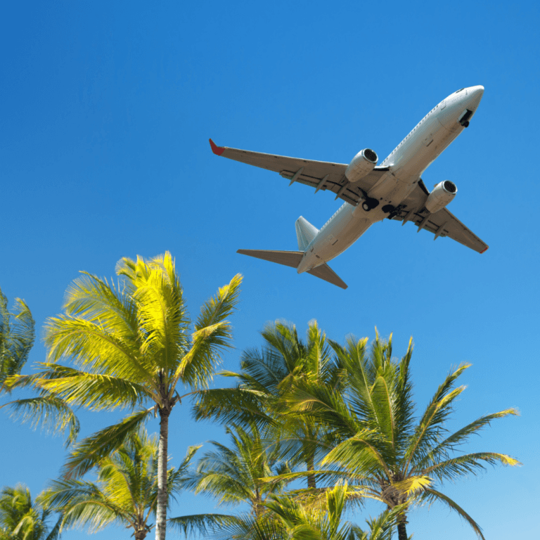 Tips for Booking Flights and securing great deals. Airplane soaring through the sky