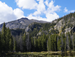 Scenic view of forests and mountains in North America.